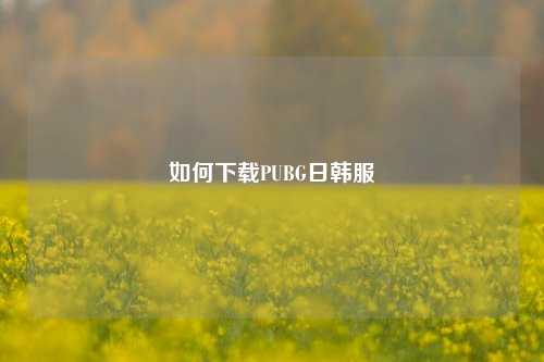 如何下载PUBG日韩服