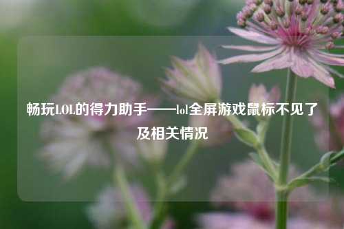 畅玩LOL的得力助手——lol全屏游戏鼠标不见了及相关情况