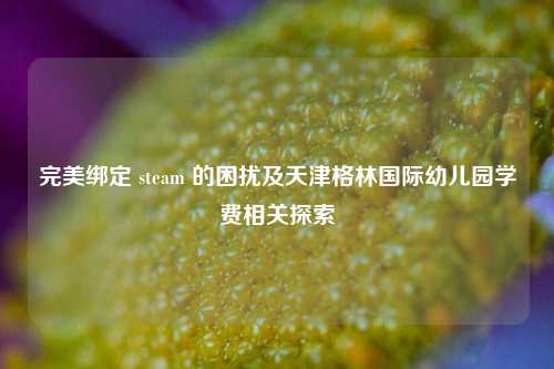 完美绑定 steam 的困扰及天津格林国际幼儿园学费相关探索
