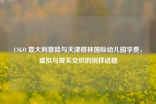 CSGO 意大利冒险与天津格林国际幼儿园学费，虚拟与现实交织的别样话题