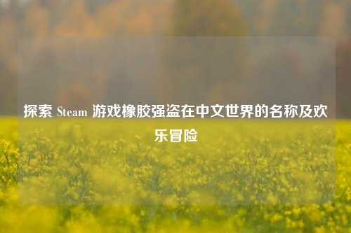 探索 Steam 游戏橡胶强盗在中文世界的名称及欢乐冒险