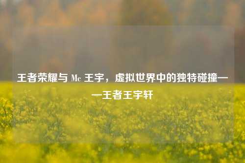 王者荣耀与 Mc 王宇,虚拟世界中的独特碰撞——王者王宇轩
