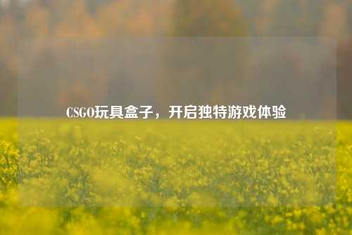 CSGO玩具盒子，开启独特游戏体验
