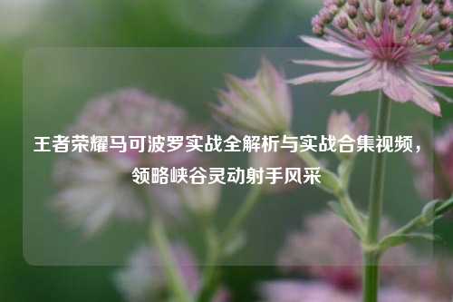 王者荣耀马可波罗实战全解析与实战合集视频,领略峡谷灵动射手风采