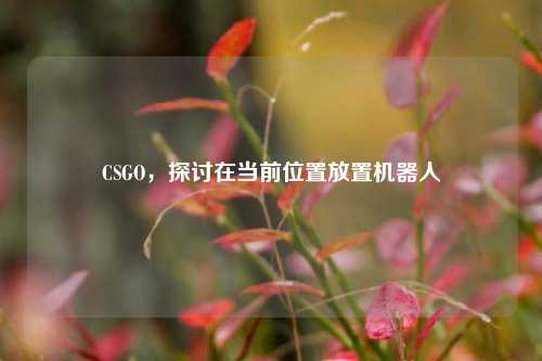 CSGO，探讨在当前位置放置机器人