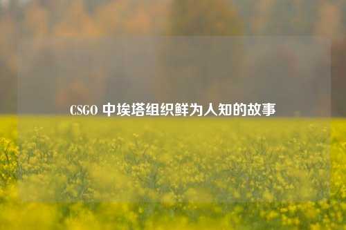 CSGO 中埃塔组织鲜为人知的故事
