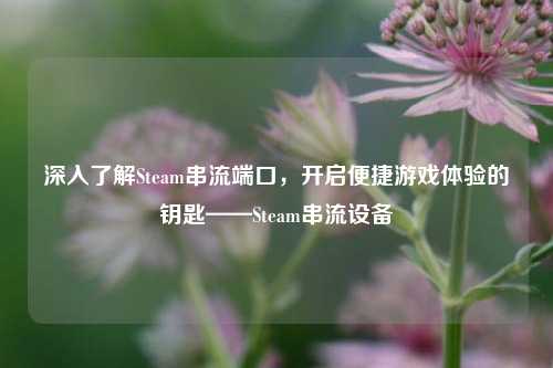 深入了解Steam串流端口,开启便捷游戏体验的钥匙——Steam串流设备