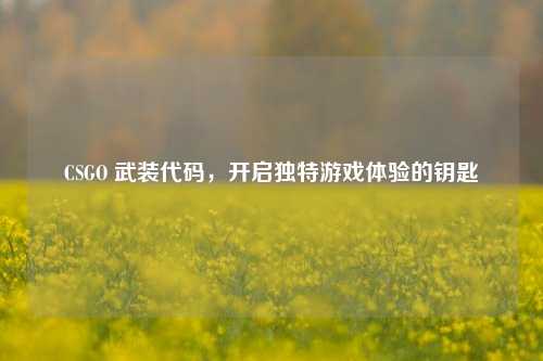 CSGO 武装代码,开启独特游戏体验的钥匙
