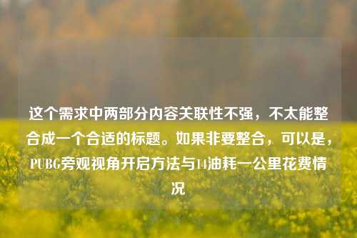 这个需求中两部分内容关联性不强，不太能整合成一个合适的标题。如果非要整合，可以是，PUBG旁观视角开启方法与14油耗一公里花费情况