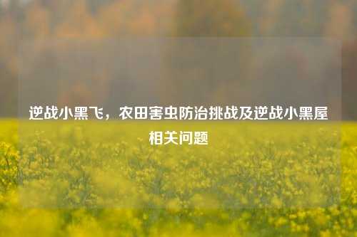 逆战小黑飞,农田害虫防治挑战及逆战小黑屋相关问题