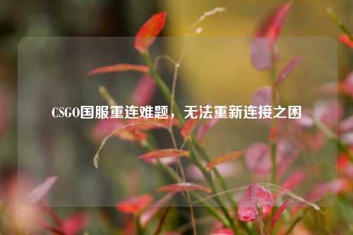 CSGO国服重连难题，无法重新连接之困