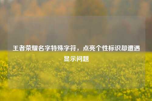 王者荣耀名字特殊字符，点亮个性标识却遭遇显示问题