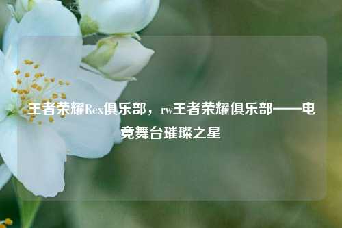 王者荣耀Rex俱乐部,rw王者荣耀俱乐部——电竞舞台璀璨之星