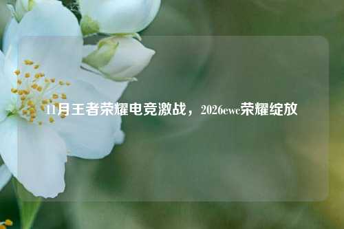 11月王者荣耀电竞激战,2026ewc荣耀绽放