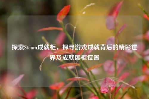 探索Steam成就柜,探寻游戏成就背后的精彩世界及成就展柜位置