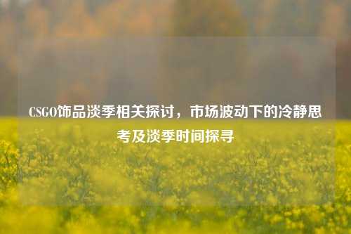 CSGO饰品淡季相关探讨，市场波动下的冷静思考及淡季时间探寻