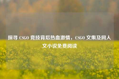 探寻 CSGO 竞技背后热血激情，CSGO 文集及同人文小说免费阅读