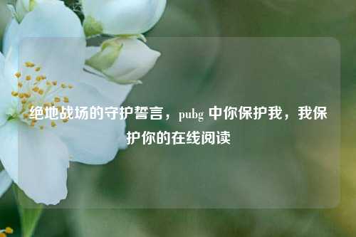 绝地战场的守护誓言,pubg 中你保护我,我保护你的在线阅读
