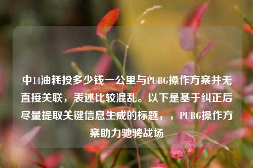 中14油耗投多少钱一公里与PUBG操作方案并无直接关联,表述比较混乱。以下是基于纠正后尽量提取关键信息生成的标题,,PUBG操作方案助力驰骋战场