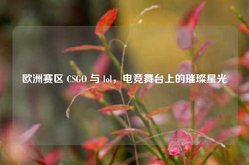 欧洲赛区 CSGO 与 lol,电竞舞台上的璀璨星光
