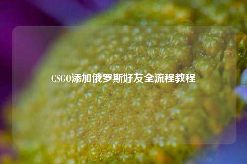 CSGO添加俄罗斯好友全流程教程