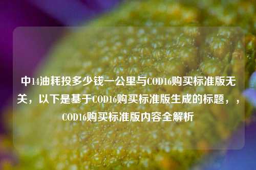 中14油耗投多少钱一公里与COD16购买标准版无关,以下是基于COD16购买标准版生成的标题,,COD16购买标准版内容全解析