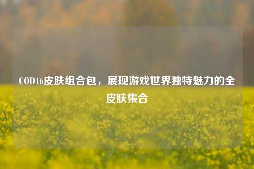 COD16皮肤组合包,展现游戏世界独特魅力的全皮肤集合