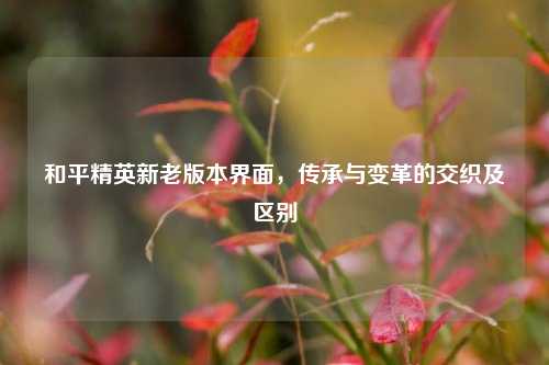 和平精英新老版本界面,传承与变革的交织及区别