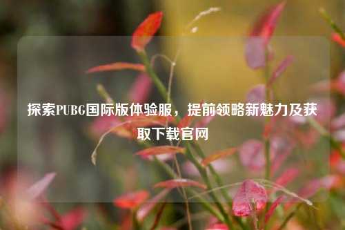 探索PUBG国际版体验服,提前领略新魅力及获取下载官网
