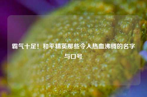 霸气十足!和平精英那些令人热血沸腾的名字与口号