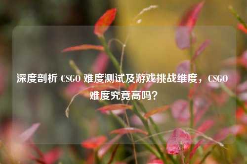 深度剖析 CSGO 难度测试及游戏挑战维度,CSGO 难度究竟高吗?
