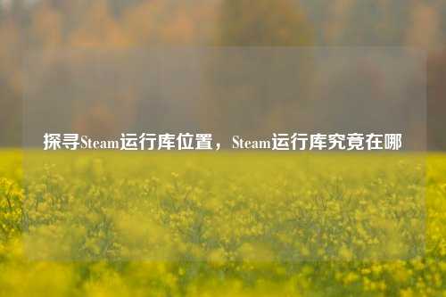 探寻Steam运行库位置，Steam运行库究竟在哪