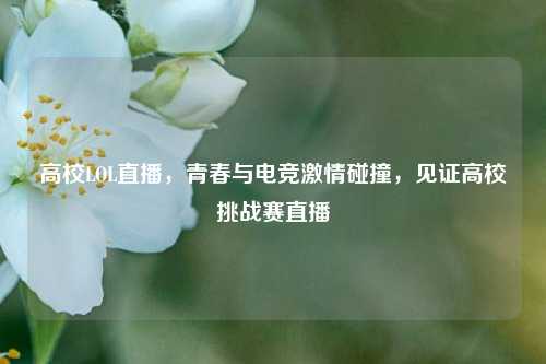 高校LOL直播,青春与电竞激情碰撞,见证高校挑战赛直播