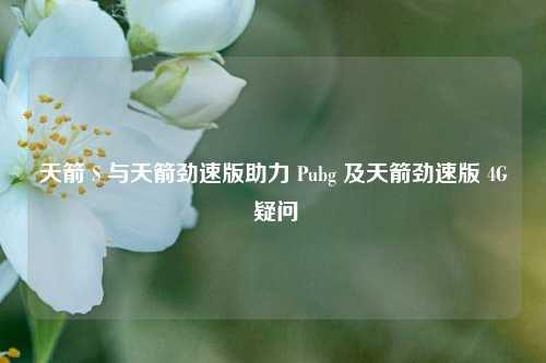 天箭 S 与天箭劲速版助力 Pubg 及天箭劲速版 4G 疑问