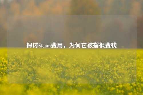 探讨Steam费用,为何它被指很费钱