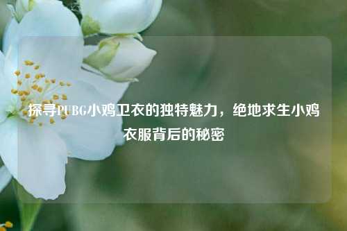 探寻PUBG小鸡卫衣的独特魅力,绝地求生小鸡衣服背后的秘密