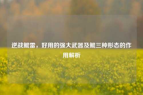 逆战鲲雷,好用的强大武器及鲲三种形态的作用解析