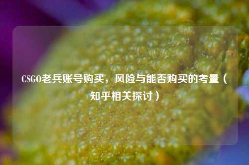 CSGO老兵账号购买,风险与能否购买的考量(知乎相关探讨)