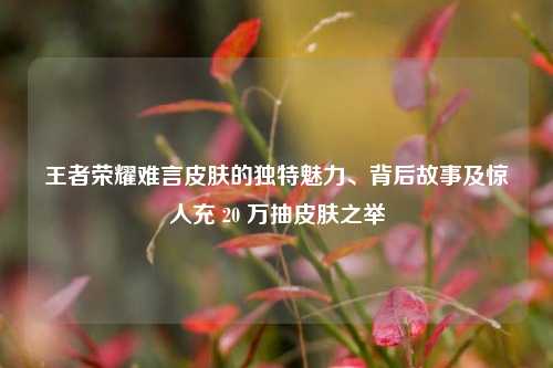 王者荣耀难言皮肤的独特魅力、背后故事及惊人充 20 万抽皮肤之举