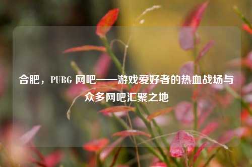 合肥，PUBG 网吧——游戏爱好者的热血战场与众多网吧汇聚之地