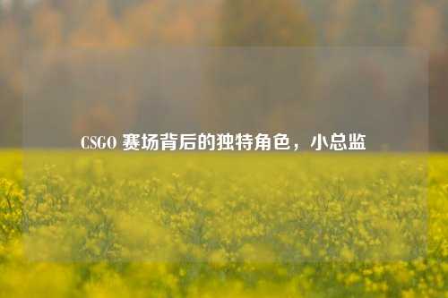CSGO 赛场背后的独特角色,小总监