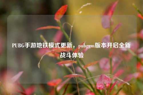 PUBG手游地铁模式更新,pubggm版本开启全新战斗体验