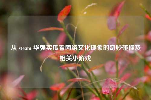 从 steam 华强买瓜看网络文化现象的奇妙碰撞及相关小游戏