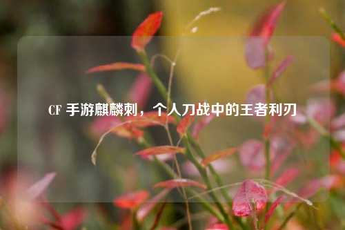 CF 手游麒麟刺，个人刀战中的王者利刃