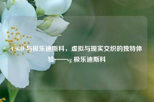 CSGO 与极乐迪斯科,虚拟与现实交织的独特体验——vg 极乐迪斯科