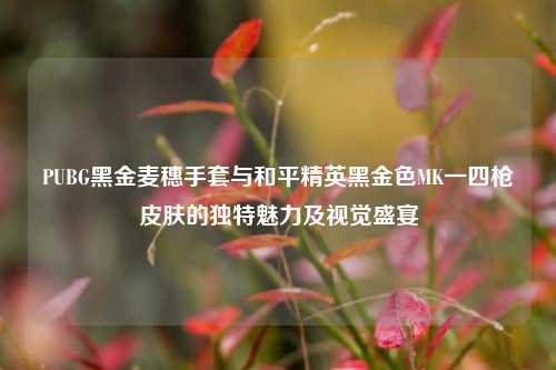 PUBG黑金麦穗手套与和平精英黑金色MK一四枪皮肤的独特魅力及视觉盛宴