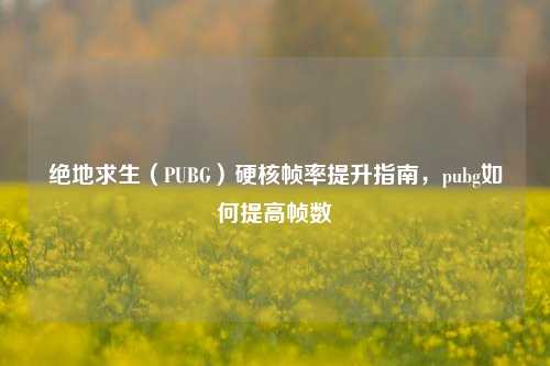 绝地求生(PUBG)硬核帧率提升指南,pubg如何提高帧数