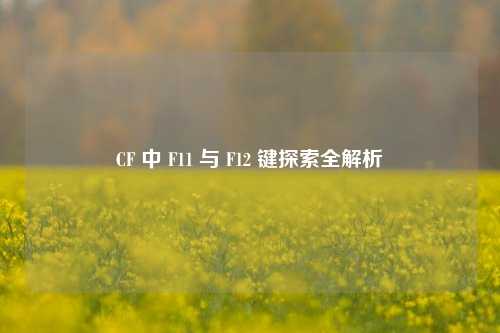 CF 中 F11 与 F12 键探索全解析