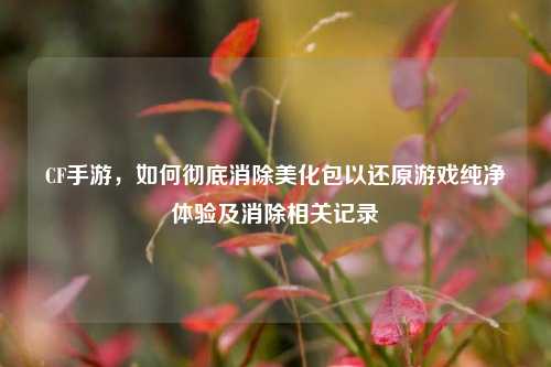 CF手游，如何彻底消除美化包以还原游戏纯净体验及消除相关记录