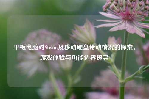 平板电脑对Steam及移动硬盘带动情况的探索,游戏体验与功能边界探寻